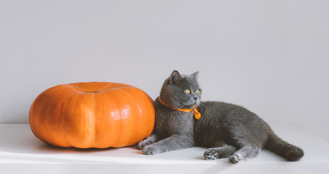 Similar image 21908046