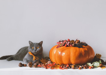 Similar image 21908047