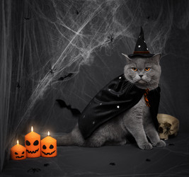 Similar image 21908048