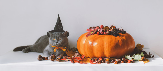 Similar image 21908049