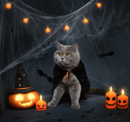 Similar image 21908053