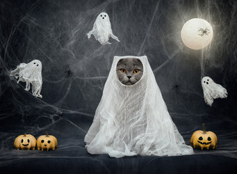 Similar image 21908065