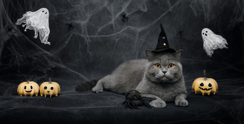 Similar image 21908070