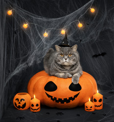 Similar image 21908074