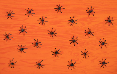 Similar image 21908077