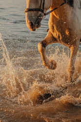 Similar image 21910943