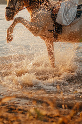 Similar image 21910944