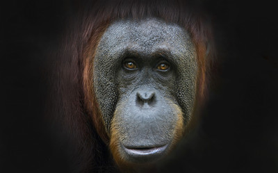 Similar image 21909156