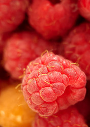 Similar image 21909160