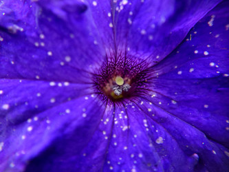 Similar image 21909162