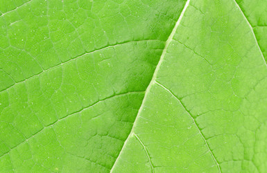 Similar image 21909164