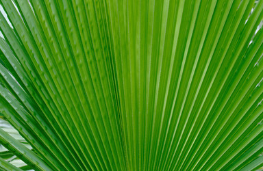 Similar image 21909165