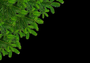 Similar image 21909170