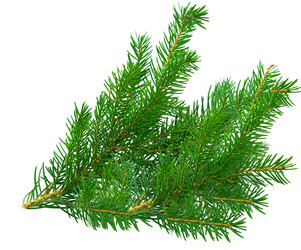 Similar image 21909171