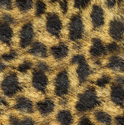 Similar image 21909178