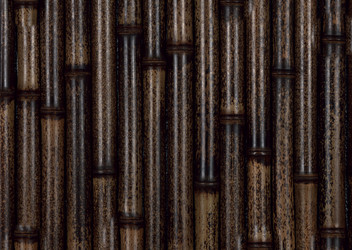 Similar image 21909180