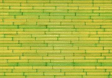 Similar image 21909184