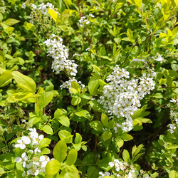 Similar image 21906712