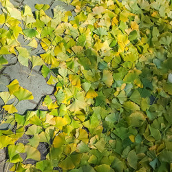 Similar image 21906713