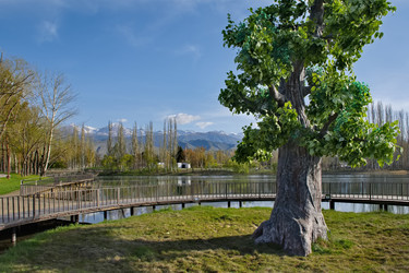 Similar image 21908087