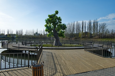 Similar image 21908108