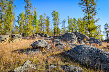 Similar image 21906723