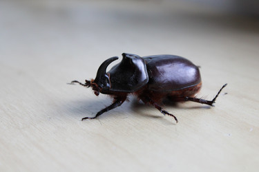 Similar image 21910946