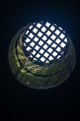 Similar image 21907096