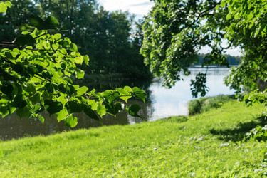 Similar image 21907099