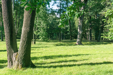 Similar image 21907102