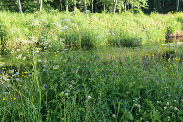 Similar image 21907104