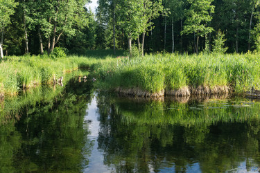 Similar image 21907105