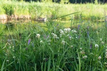 Similar image 21907106