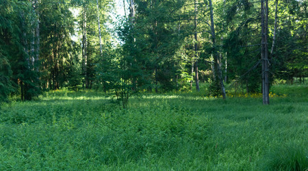 Similar image 21907108