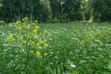 Similar image 21907110