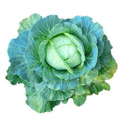 Similar image 21907483