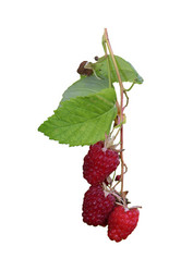 Similar image 21907486