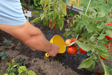 Similar image 21907493