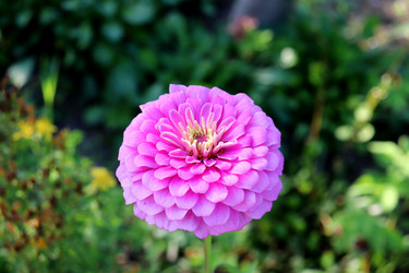 Similar image 21907496