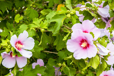 Similar image 21908470