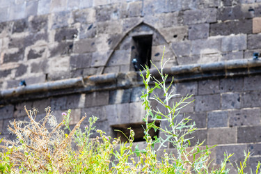 Similar image 21908476