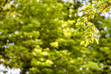 Similar image 21908488