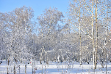 Similar image 21906929