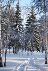 Similar image 21906930