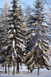 Similar image 21906932