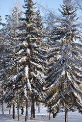 Similar image 21906933