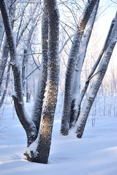 Similar image 21906934