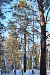 Similar image 21906936