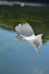 Similar image 21910949