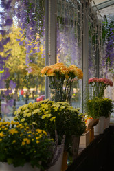 Similar image 21910950